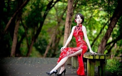 茄子视频在线直播